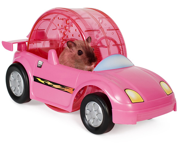 One More Thing Before We Go: Hamster Ride