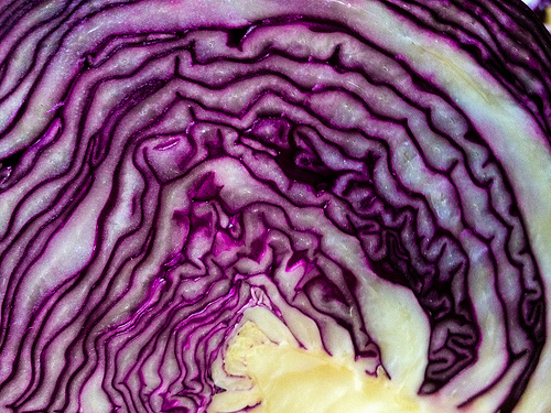 Purple on the Side [Fierce Foodie]