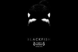 Good Luck Going To Sea World Ever Again [Blackfish Review]