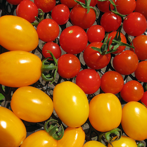 Fierce Foodie: Nice Tomatoes