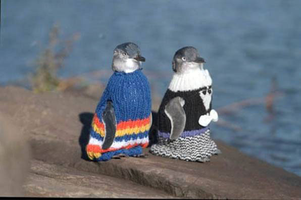 Sweaters for Penguins [One More Thing Before We Go]